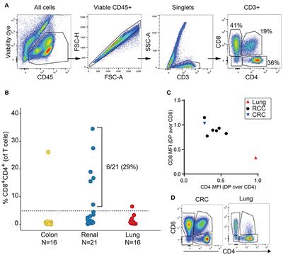 Renal Cell Carcinoma (RCC) Tumors Display Large Expansion of Double Positive (DP) CD4+CD8+ T Cells With Expression of Exhaustion Markers